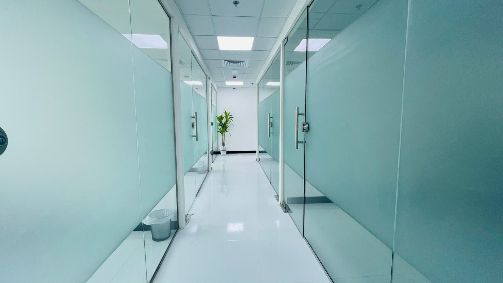 Office suite interior