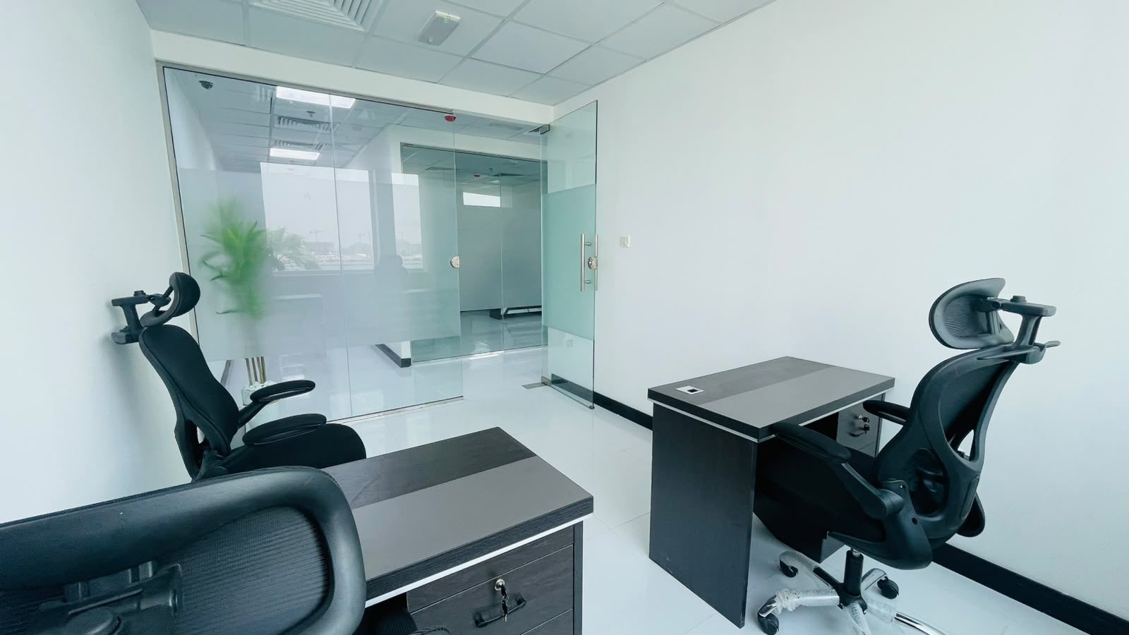 Glass-partitioned office